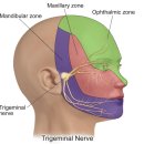 둔산튼튼한의원 이미지