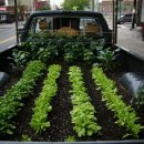 영화농장 이미지