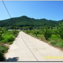 덕치보건지소 Daum카페