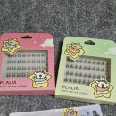 말티 | 플라리아 몰티즈 노글루 속눈썹 말티데이, 말티찰랑 후기