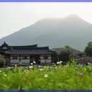 라이프한의원 이미지