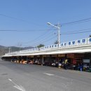신흥부산물 네이버블로그