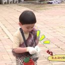 초코볼엔터테인먼트 이미지