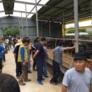 오성흑염소농장 이미지