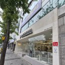 뉴욕동물병원 이미지