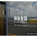 제주 공항 근처 맛집 태하횟집에서의 즐거운 여행 후기