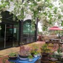 계곡가든민박 이미지