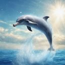 질러스타범계점 이미지