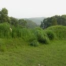 영원부원군묘 이미지