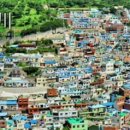 신평동1011 이미지