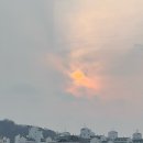 다현마라탕 | 버린 입맛 / 또출토 / 러비가 만들어준 홈메이드 마라탕(이거슨 시작,,) / 타이료(스시 오마카세...