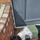 컴페니언 펫 | 컴페니언 바이 주문진 애견동반 숙소 후기