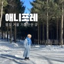 애니 골프 | 강원도 평창 겨울 가볼만한 곳 알파카 목장 애니포레