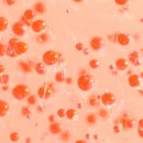 여울스킨케어 이미지