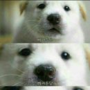 안국역(3) 이미지