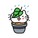 마르타의 정원