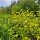 우석농장 이미지