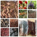 (주)가파 이미지