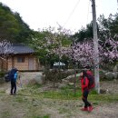 원막골민박 이미지