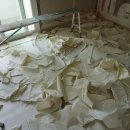 신한 | 방산시장 도배업체 신한벽지 찐 만족후기(디아망 크림화이트)