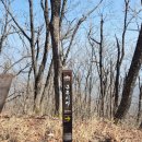 황장산쉼터 | 낭만 가득한 백두대간 구부시령 덕항산 환선봉 큰재 황장산 댓재 코스 완주 후기