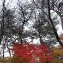 파인힐여관 | (예산 여행) 수덕사.