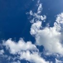 하늘 태권도 교육관 이미지