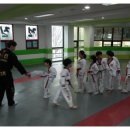 전진 효 태권도 이미지