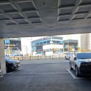 펫츠아일랜드 | 거제동물 메디컬센터 방문후기 / 고양이 눈꼽, 결막염