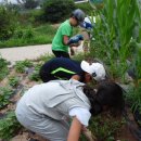 가온누리 농장 이미지