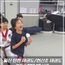 태화태권도장 이미지