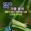 ♡8월10일 금요일 카톡인사! 이미지