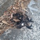 학동애펜션 | [누워서 세계속으로] 남도투어 (여수,거제,부산,경주) 23.01.27~23.01.28