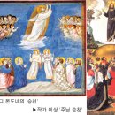 성화로 Daum카페