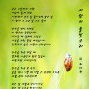 풀빛소리 이미지