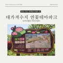 대가연꽃테마공원 이미지