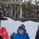 월곡태권도장 이미지