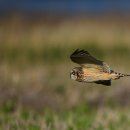 햇살좋은아침 이미지