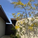 긴돌담집 | ✈️ 제주 감성 독채 숙소 | 라운더리(roundary) B동 솔직 후기