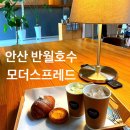 남산평길 | 안산 반월호수 모더스프레드 주차가 편한 대형카페 우유크림소금빵 맛집 베이커리