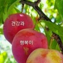 올림픽로76 이미지