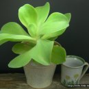 상학농장 이미지