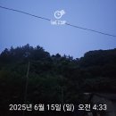 울릉도드림 | 2025년 제20회 울릉도 마라톤 참가 후기 (10km)