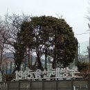 두텁108