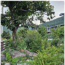 느린오후 이미지