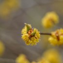 자연알로(광덕) 이미지