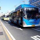 봉암동164 이미지