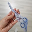 반려동물 셀프미용 이미지