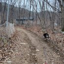 영동천막사 이미지