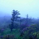 초록화원 이미지